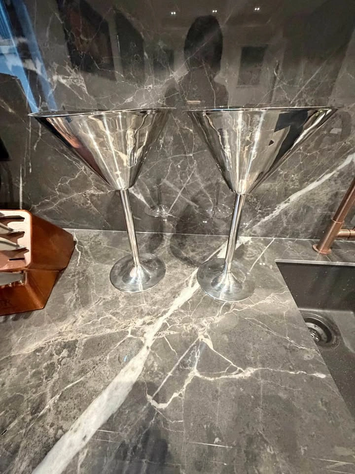 Set of 2 Stainless Steel Martini Glasses