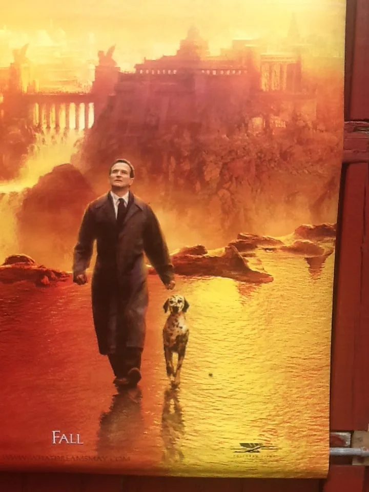 Robin Williams Movie Banner - What Dreams May Come image indicator(6)