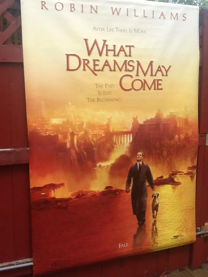 Robin Williams Movie Banner - What Dreams May Come image indicator(8)