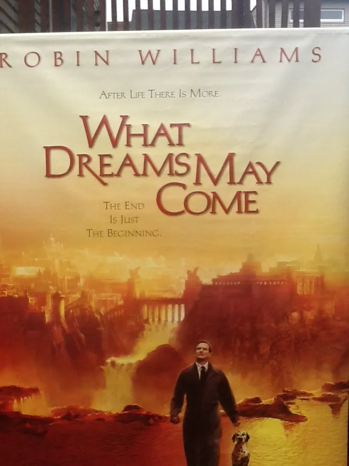 Robin Williams Movie Banner - What Dreams May Come image indicator(10)
