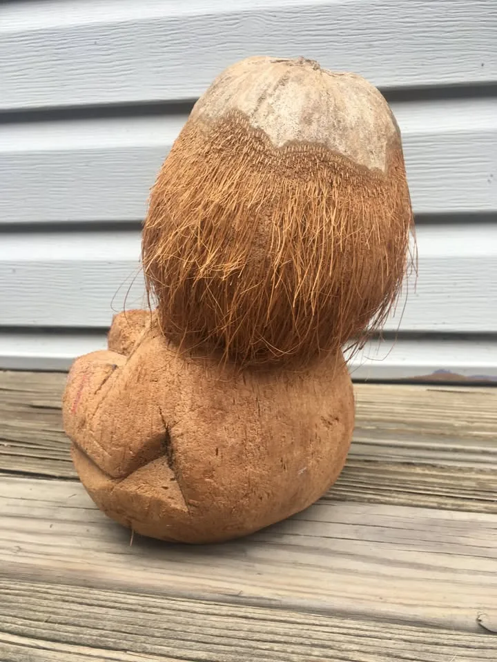 Vintage Hand Carved Coconut Figure Folk Art - 6 x 10 Inches image indicator(10)