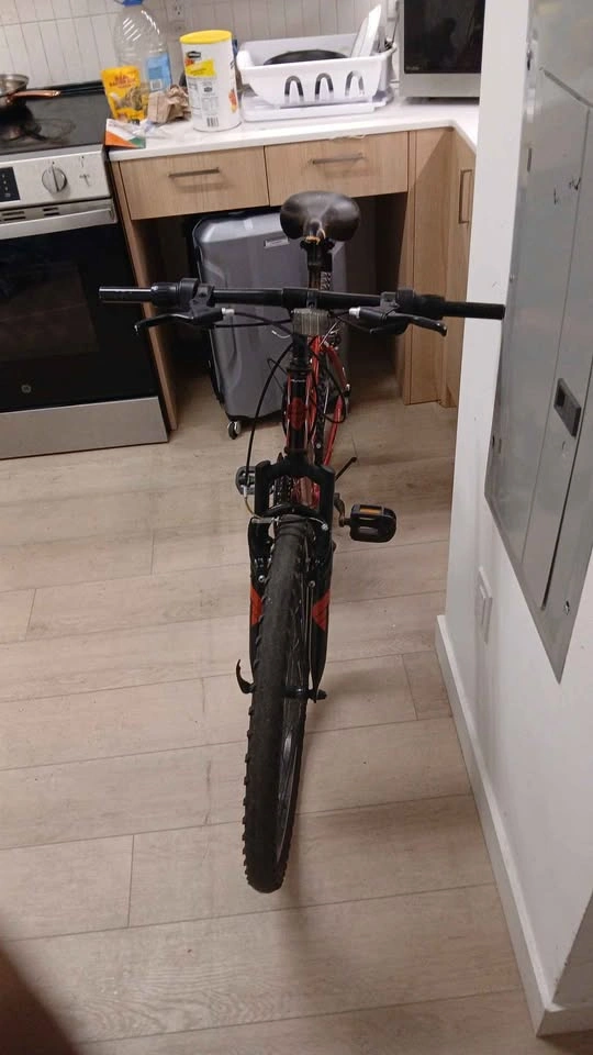 Puffy mountain bike - photo 2