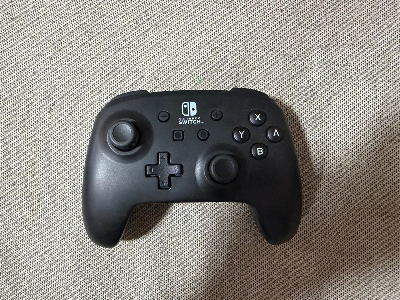 Nintendo Switch Controller