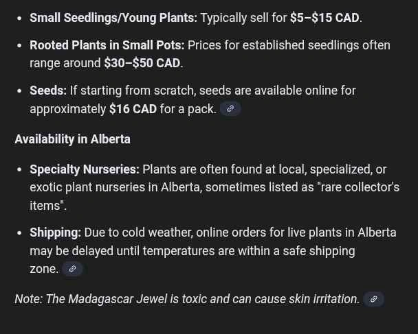Madagascar Jewel Seedlings - photo 2