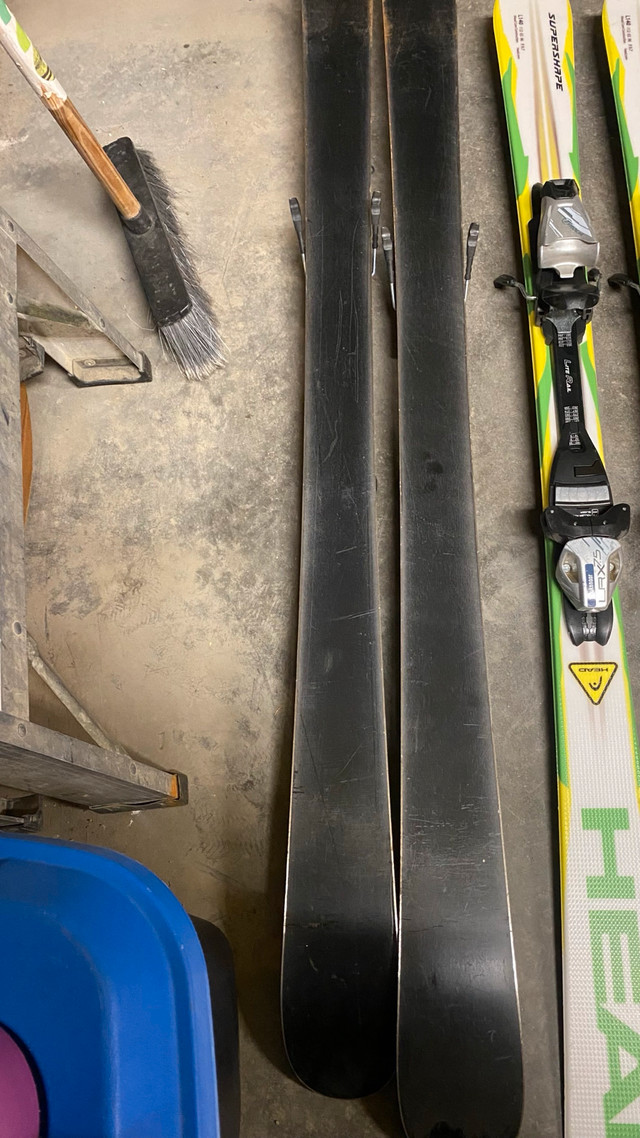 Junior and adult skis - photo 5