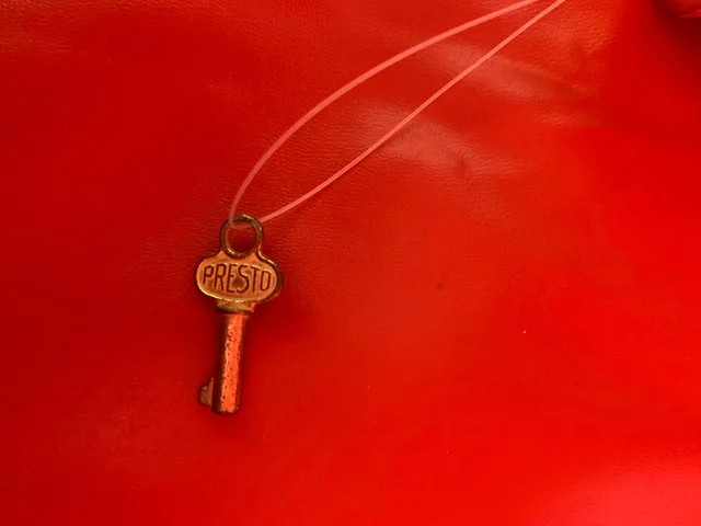 Vintage Sampsonite bag image indicator(4)