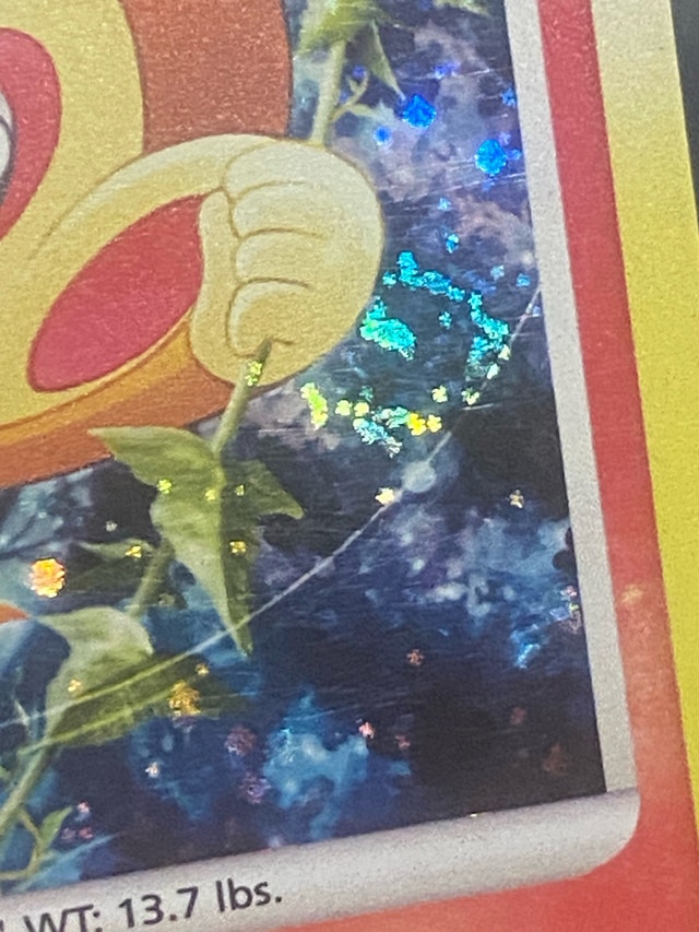 Chimchar Holo 14/17 Pop Series 6 Pokémon Card - photo 2