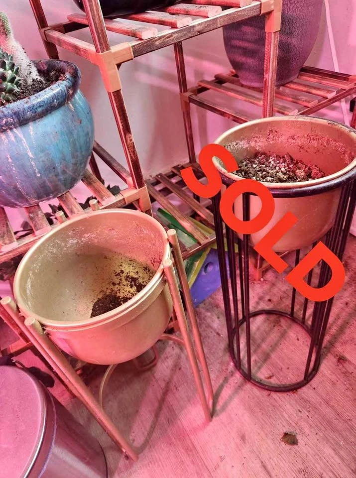 Gold Metal Plant Stand with Pot