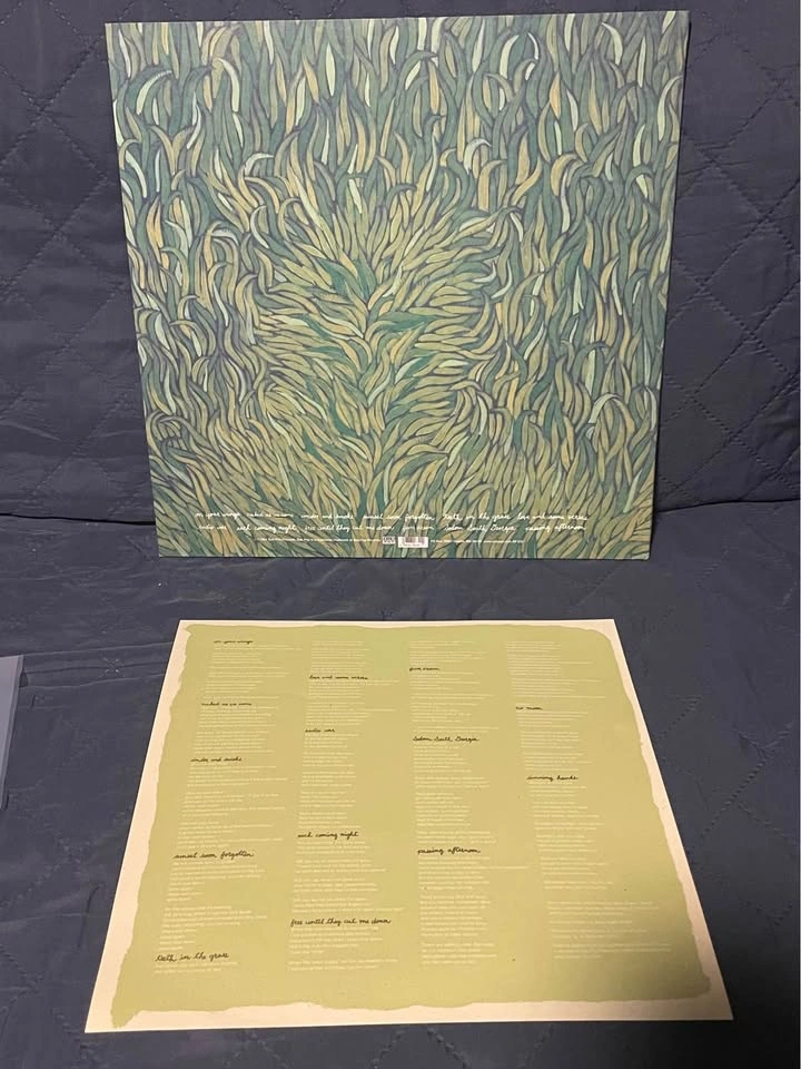 Iron + Wine - Our Endless Numbered Days (Vinyl) - photo 2