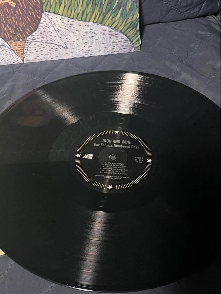 Iron + Wine - Our Endless Numbered Days (Vinyl) - photo 3