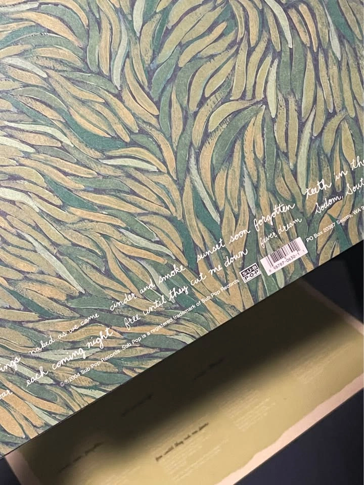 Iron + Wine - Our Endless Numbered Days (Vinyl) - photo 4