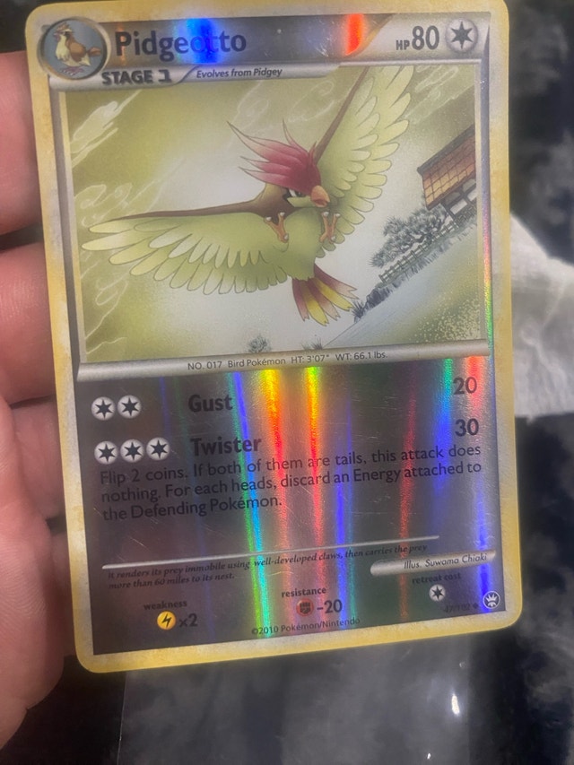 Pidgeotto Pidgeot Noctowl Pokémon Cards