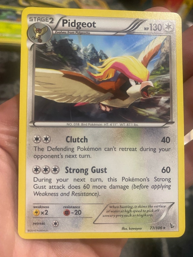 Pidgeotto Pidgeot Noctowl Pokémon Cards - photo 5