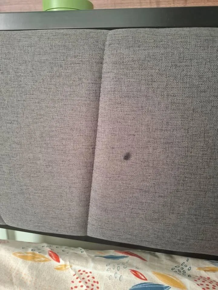 Queen Metal Bed Frame and Mattress image indicator(8)