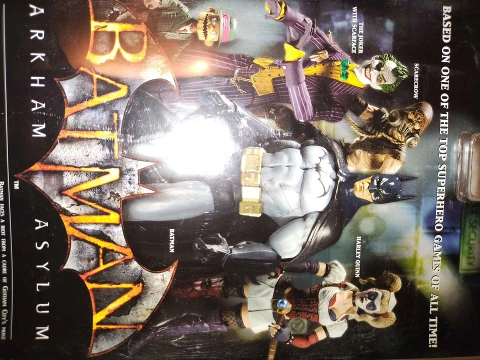 Harley Quinn Action Figure Batman Arkham Asylum DC Direct Series - photo 3
