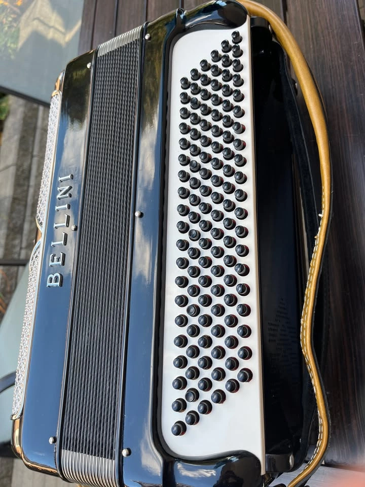 Bellini Accordion 41 Key Made in Italy 97154 With Hard Shell Cas - photo 4