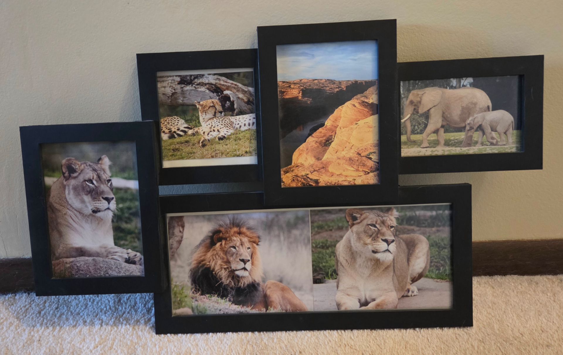 Black Multi-Opening Collage Picture Frame
