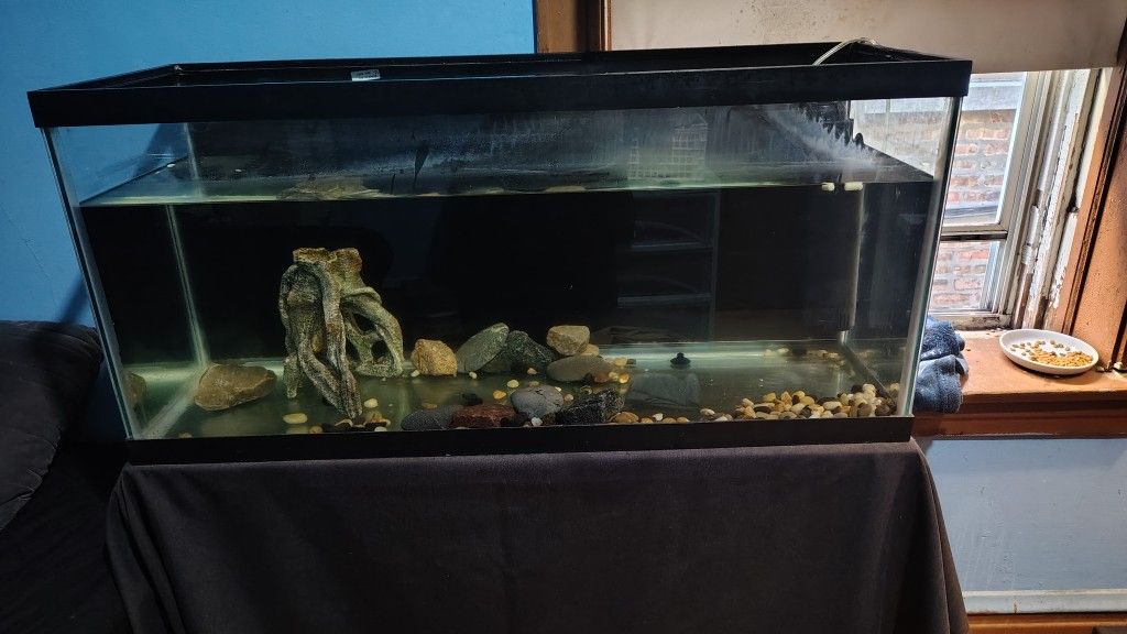 45-50 Gallon Tank $60
