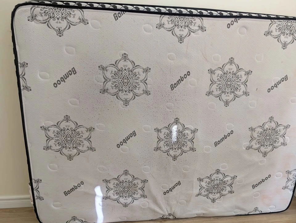 Bamboo Queen Mattress-Moving out - photo 3