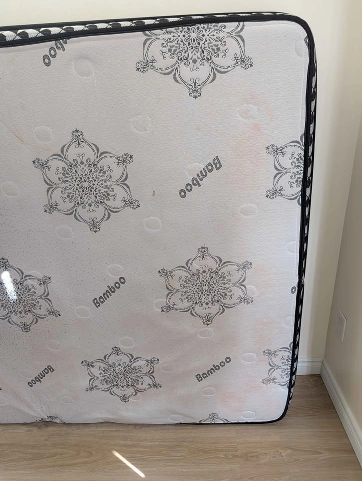 Bamboo Queen Mattress-Moving out - photo 4