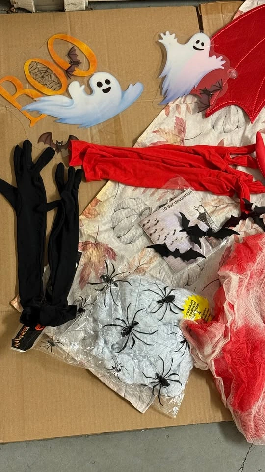 Halloween Decor & Costume Set - photo 2