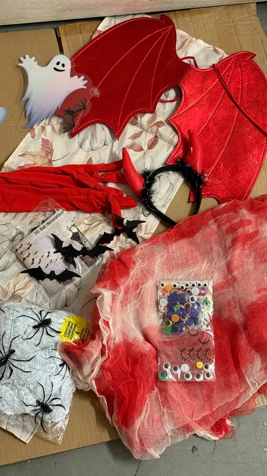Halloween Decor & Costume Set - photo 3