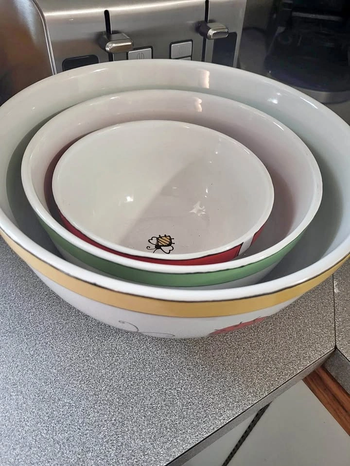 3 Vintage Bugz Ursula Dodge Signature House Wares INC. Bowl set