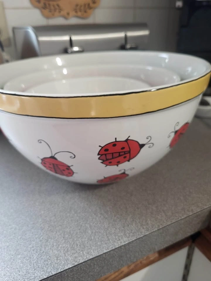 3 Vintage Bugz Ursula Dodge Signature House Wares INC. Bowl set - photo 2