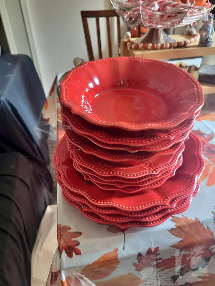 The Pioneer Woman Dishes and Bowls