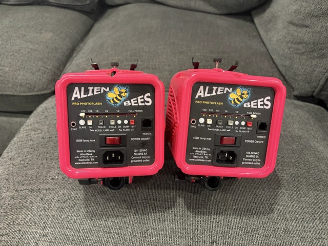 Alien Bees B800 kit