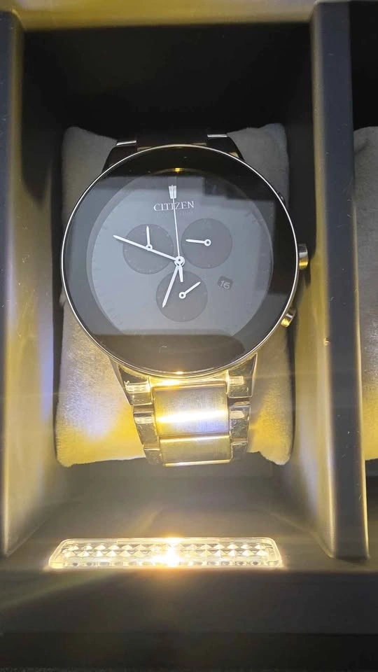 Citizen, Seiko, and Pierre de Temps Watch Collection - photo 3