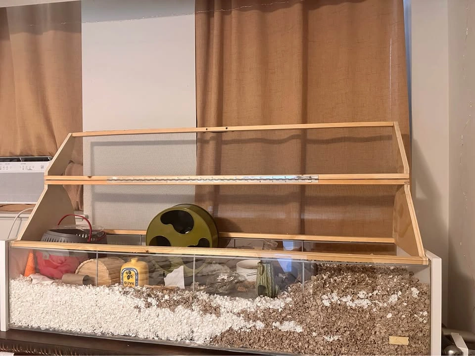 Complete Hamster Enclosure Setup - photo 2