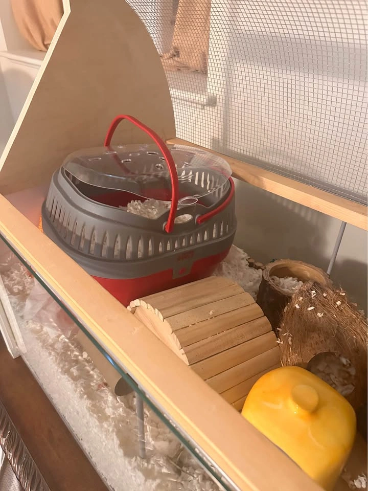 Complete Hamster Enclosure Setup - photo 3