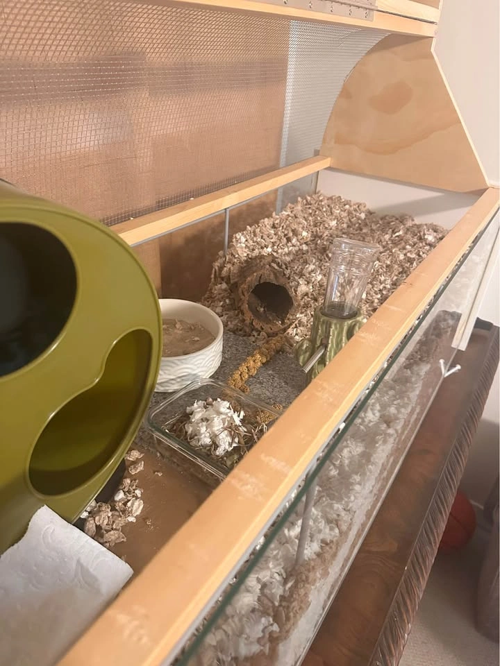 Complete Hamster Enclosure Setup - photo 4