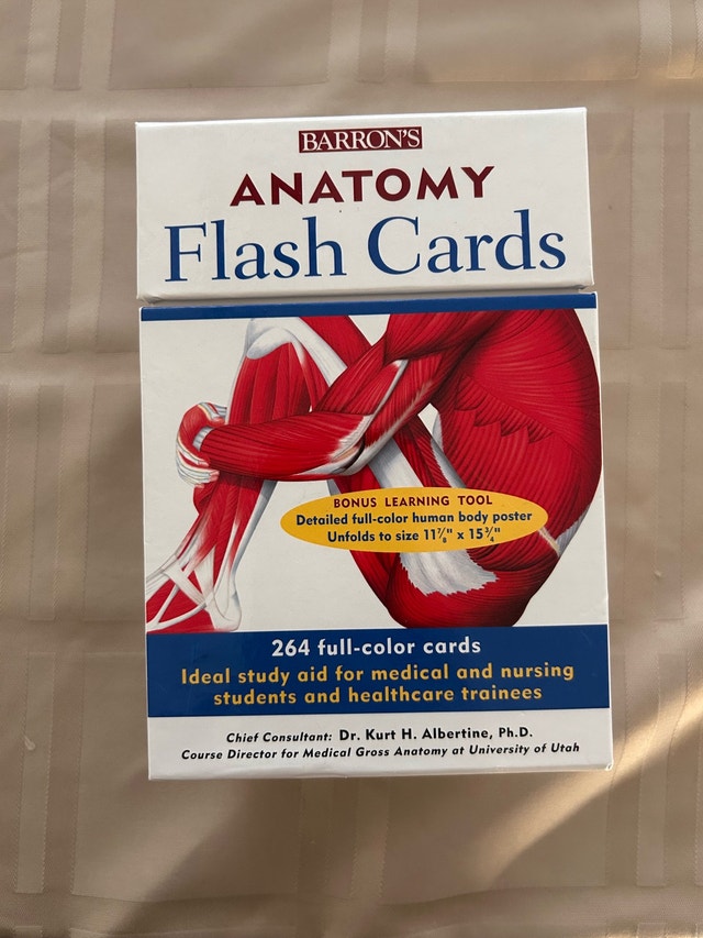 Barron's Anatomy Flash Cards