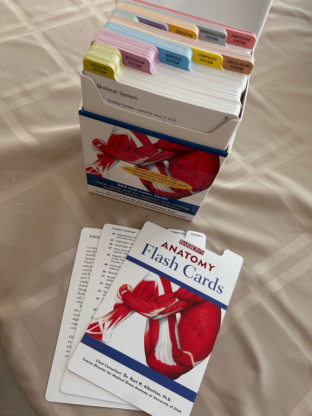 Barron's Anatomy Flash Cards - photo 2