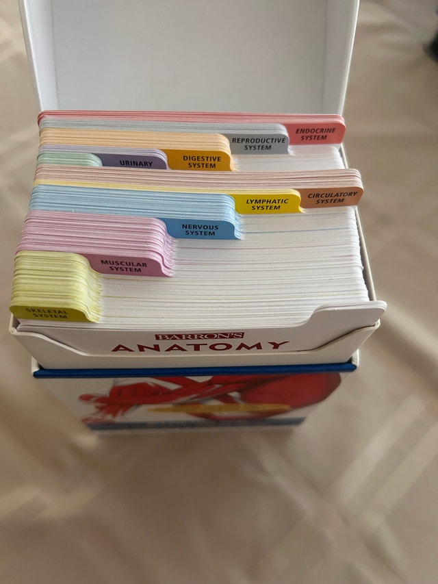 Barron's Anatomy Flash Cards - photo 3