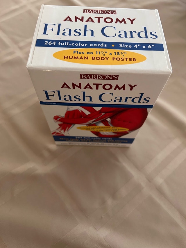 Barron's Anatomy Flash Cards - photo 4