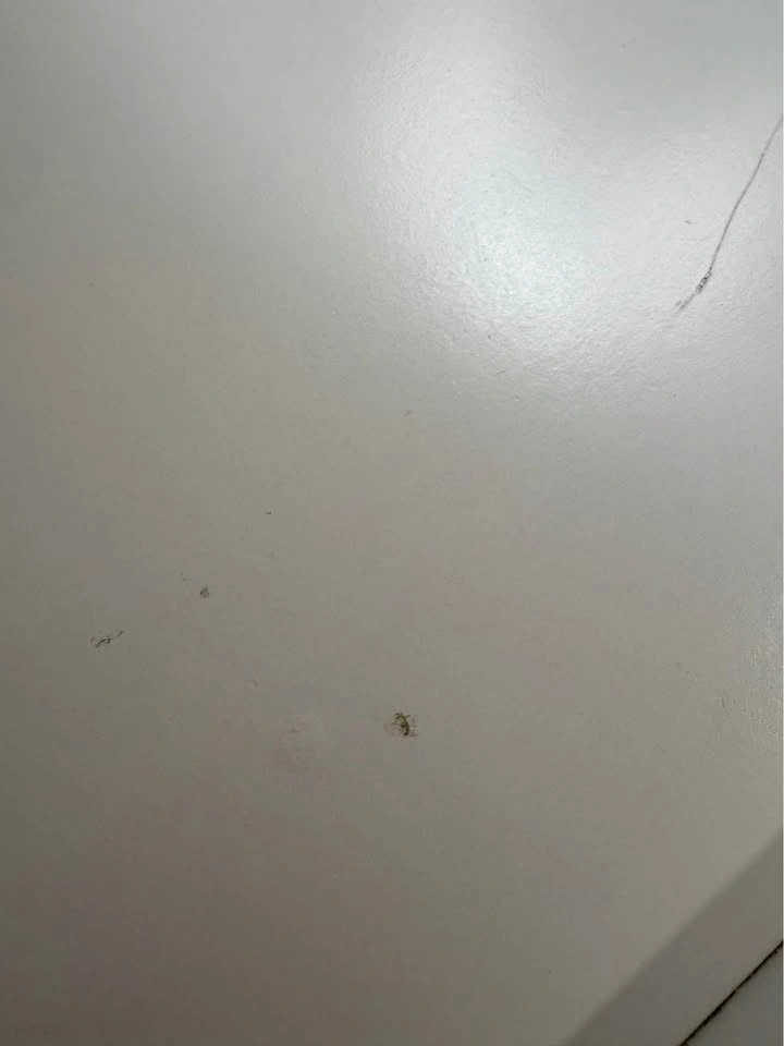 Ikea Brimnes Headboard - double - photo 5