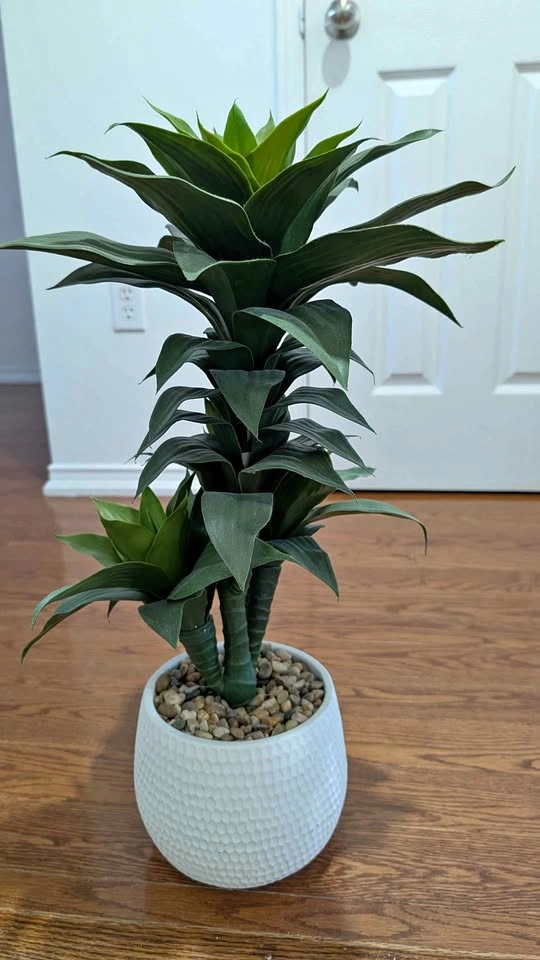 Artificial Plant in White Ceramic Pot