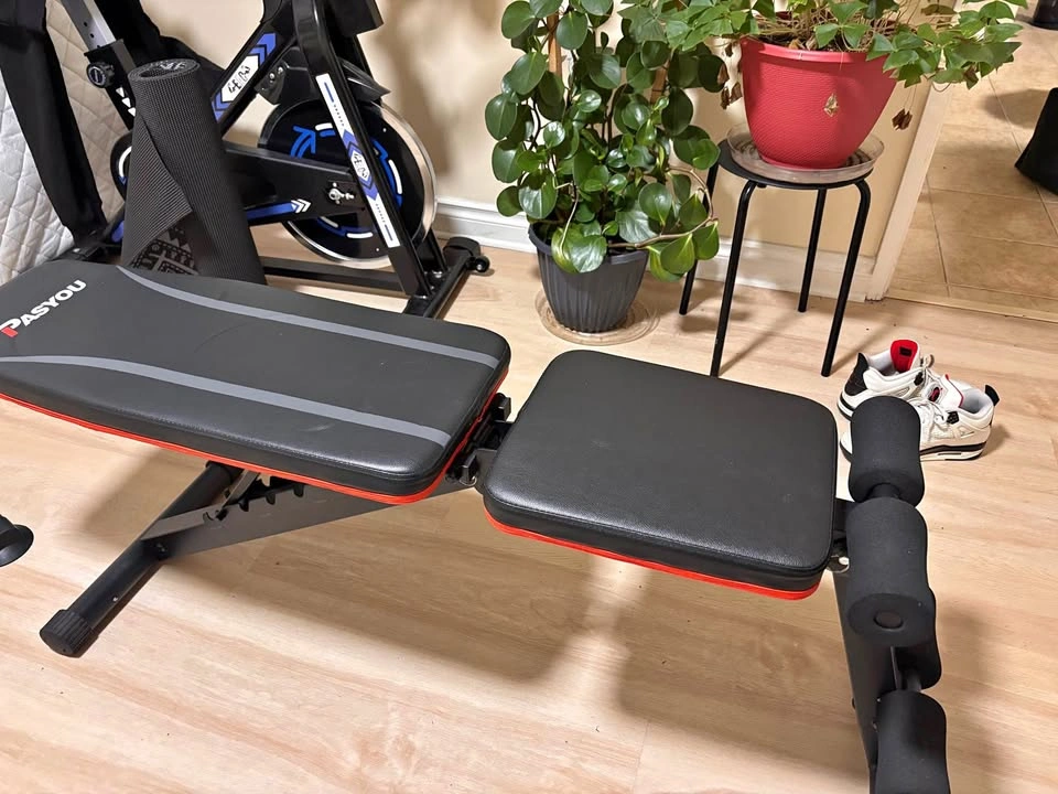 exercise bench