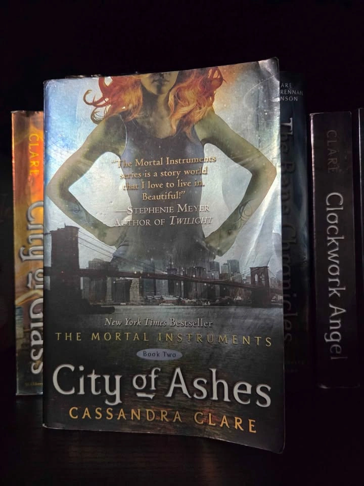 Cassandra Clare Mortal Instruments Full Book Series - photo 3