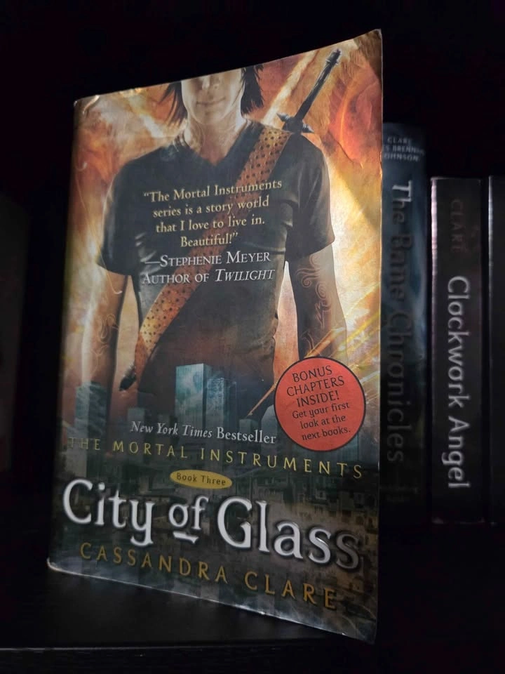 Cassandra Clare Mortal Instruments Full Book Series - photo 4