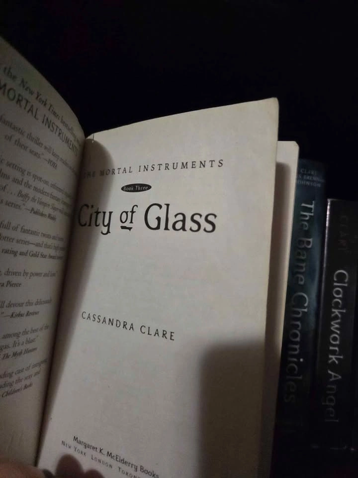 Cassandra Clare Mortal Instruments Full Book Series - photo 5
