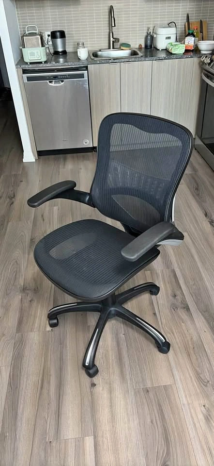 Premium Ergonomic Chair (barely used)