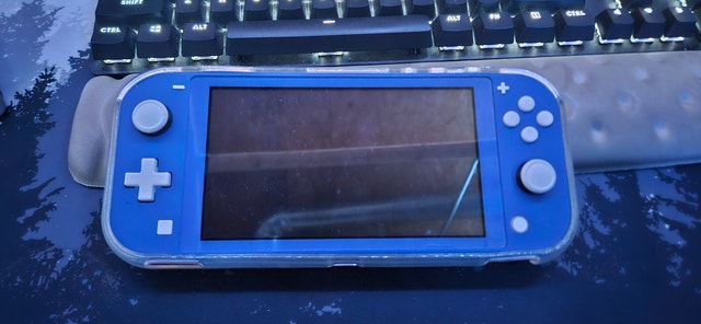 Modded Nintendo Switch Lite