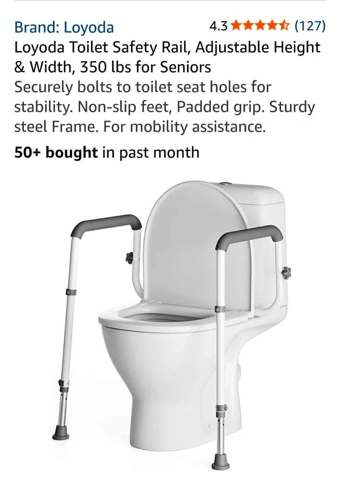 Loyoda Toilet Safety Rail
