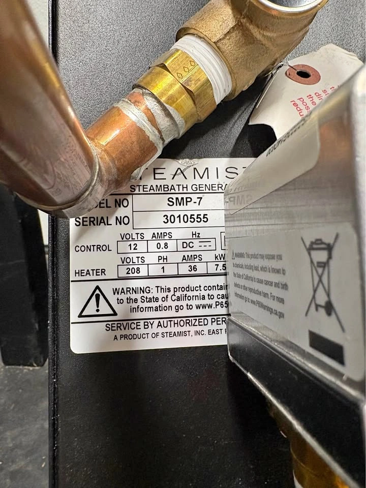 Steammist shower steam unit