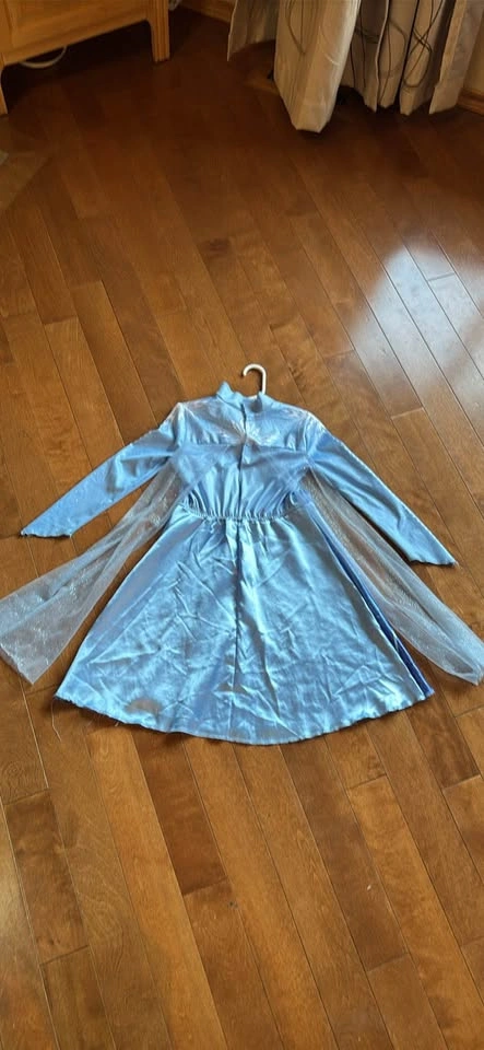 Disney Frozen Elsa Costume Dress - photo 2