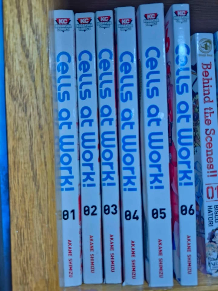 Manga - photo 3